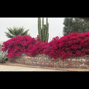 Meet your Posher, Wanda